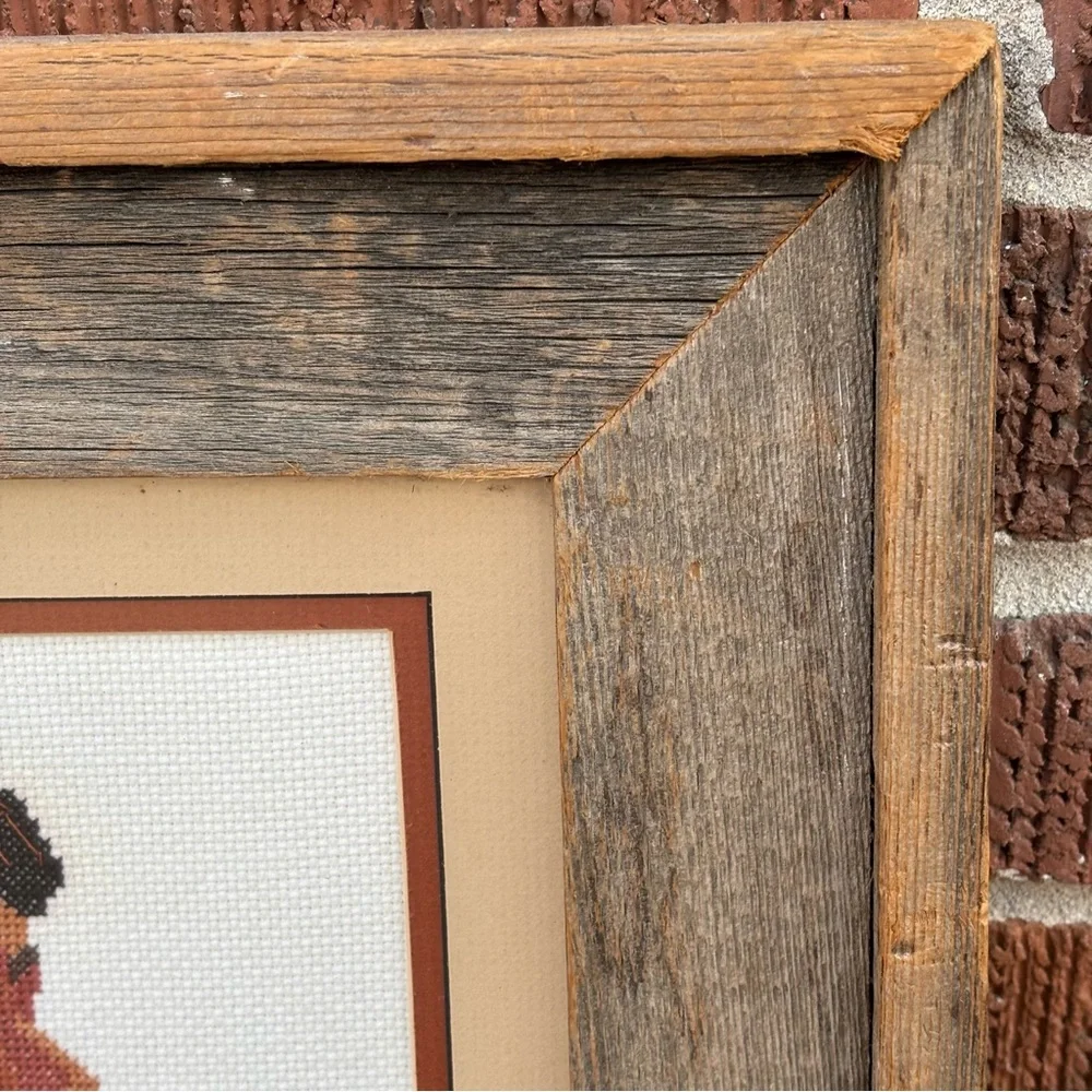 Needlepoint Counted Cross-stitch native American Indian Princess Maden Framed